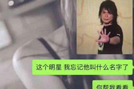 陆河如何避免债务纠纷？专业追讨公司教您应对之策